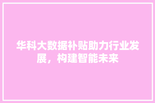 华科大数据补贴助力行业发展，构建智能未来