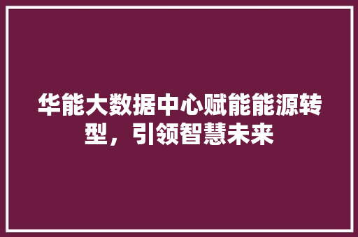 华能大数据中心赋能能源转型，引领智慧未来