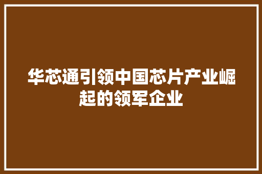 华芯通引领中国芯片产业崛起的领军企业