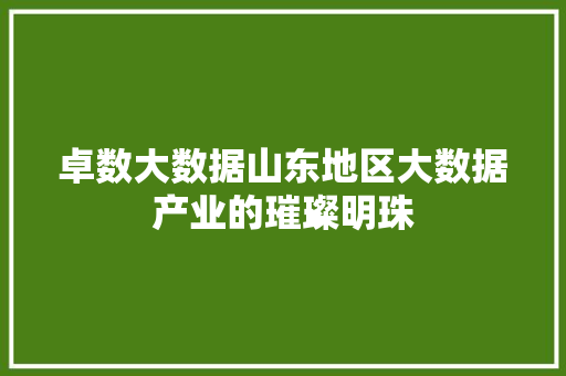 卓数大数据山东地区大数据产业的璀璨明珠 友链在线