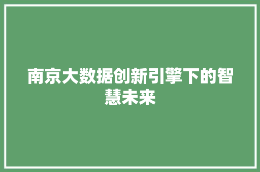 南京大数据创新引擎下的智慧未来