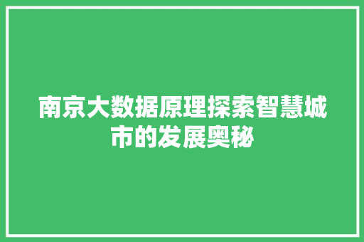 南京大数据原理探索智慧城市的发展奥秘