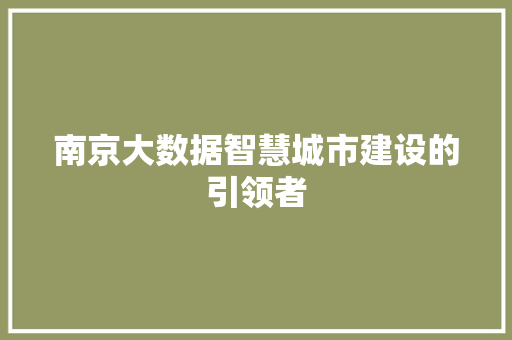 南京大数据智慧城市建设的引领者