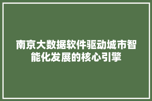 南京大数据软件驱动城市智能化发展的核心引擎