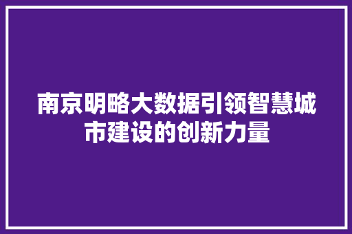 南京明略大数据引领智慧城市建设的创新力量