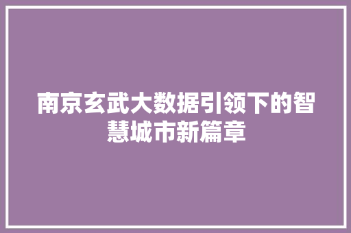 南京玄武大数据引领下的智慧城市新篇章