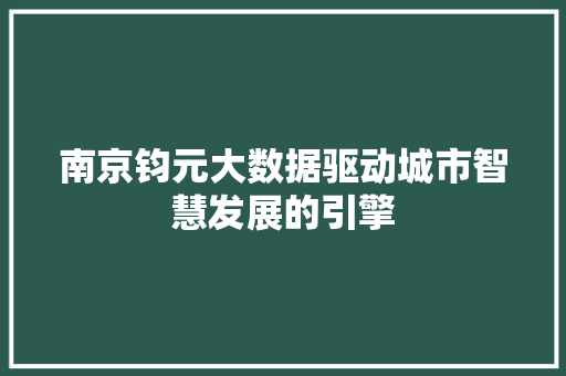 南京钧元大数据驱动城市智慧发展的引擎 SEO教程