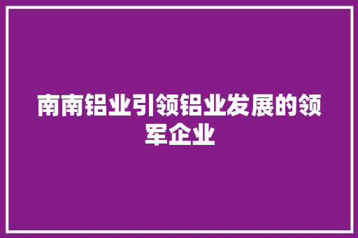 南南铝业引领铝业发展的领军企业