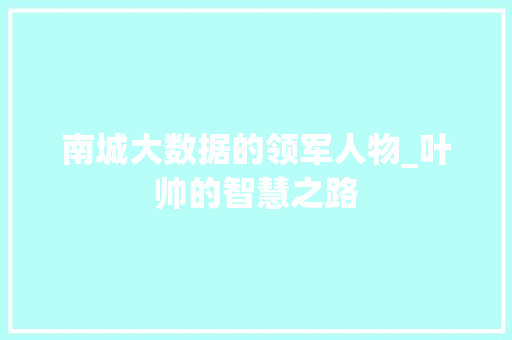 南城大数据的领军人物_叶帅的智慧之路