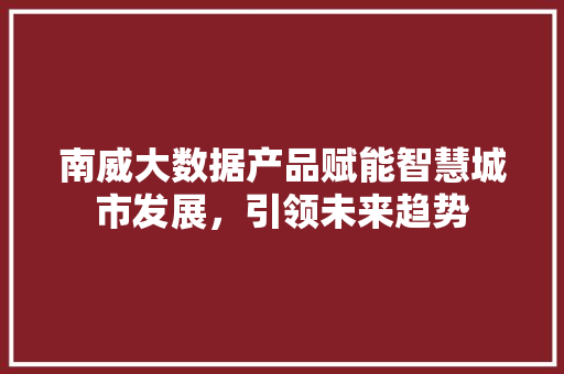 南威大数据产品赋能智慧城市发展，引领未来趋势