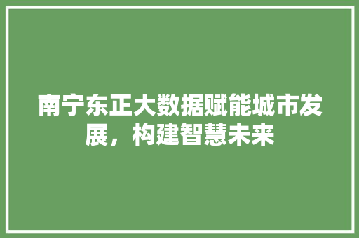 南宁东正大数据赋能城市发展，构建智慧未来
