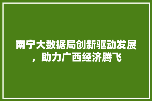 南宁大数据局创新驱动发展，助力广西经济腾飞