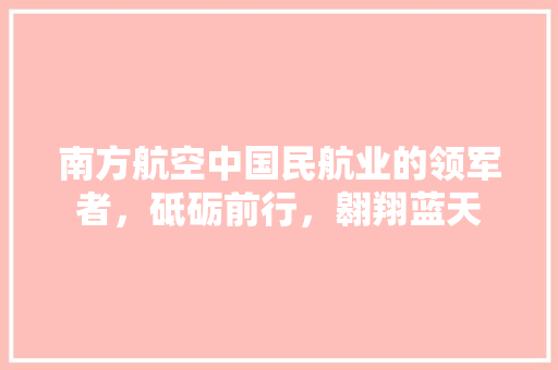 南方航空中国民航业的领军者，砥砺前行，翱翔蓝天