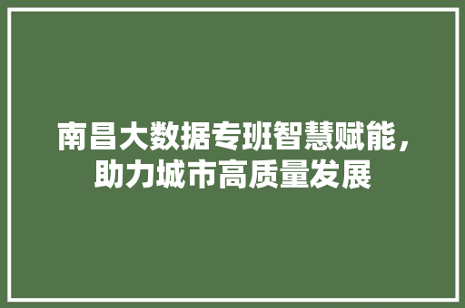 南昌大数据专班智慧赋能，助力城市高质量发展