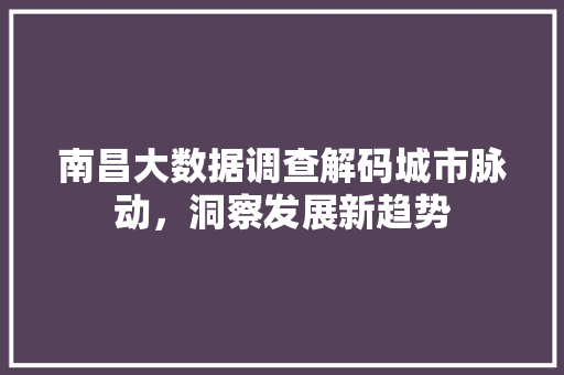 南昌大数据调查解码城市脉动，洞察发展新趋势