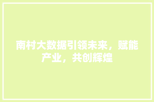 南村大数据引领未来，赋能产业，共创辉煌