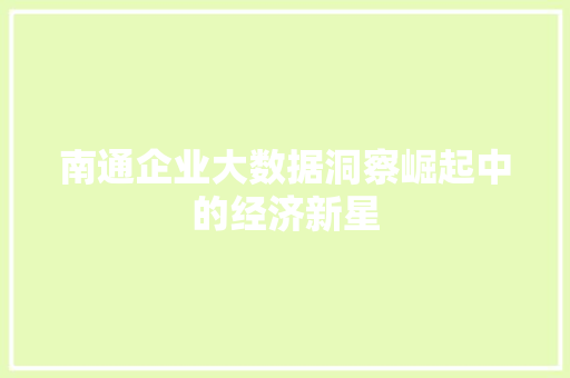 南通企业大数据洞察崛起中的经济新星