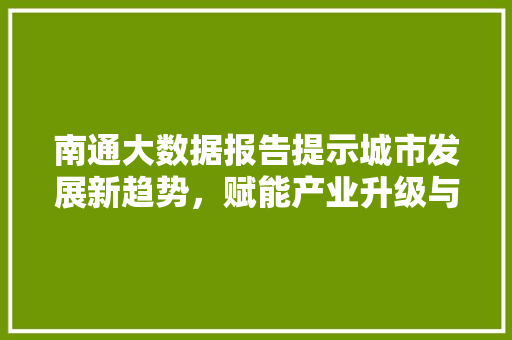 南通大数据报告提示城市发展新趋势，赋能产业升级与智慧生活 Web前端