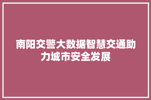 南阳交警大数据智慧交通助力城市安全发展