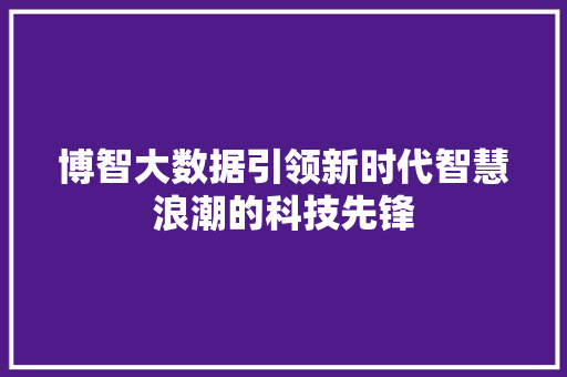 博智大数据引领新时代智慧浪潮的科技先锋