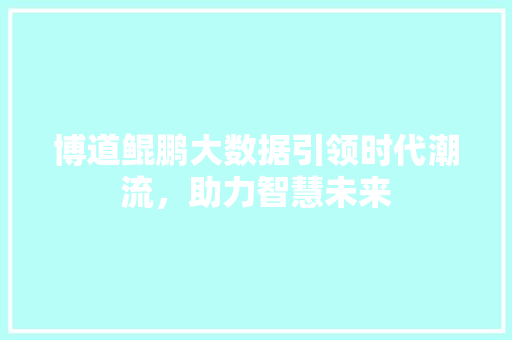 博道鲲鹏大数据引领时代潮流，助力智慧未来 友链在线