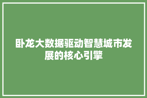 卧龙大数据驱动智慧城市发展的核心引擎