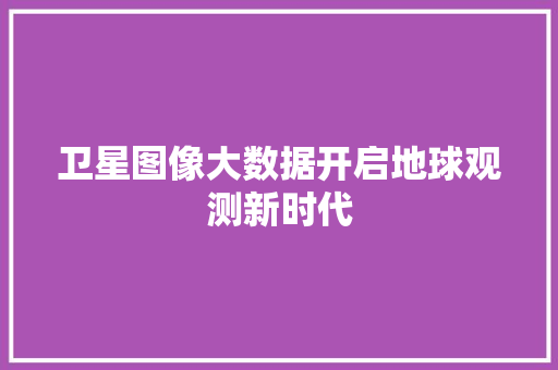 卫星图像大数据开启地球观测新时代