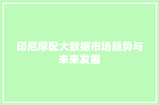 印尼摩配大数据市场趋势与未来发展