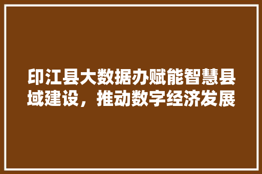 印江县大数据办赋能智慧县域建设，推动数字经济发展