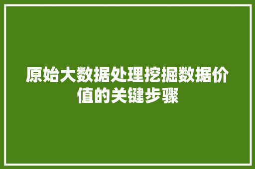 原始大数据处理挖掘数据价值的关键步骤 WordPress教程