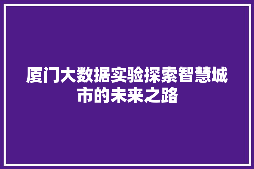 厦门大数据实验探索智慧城市的未来之路 Web前端