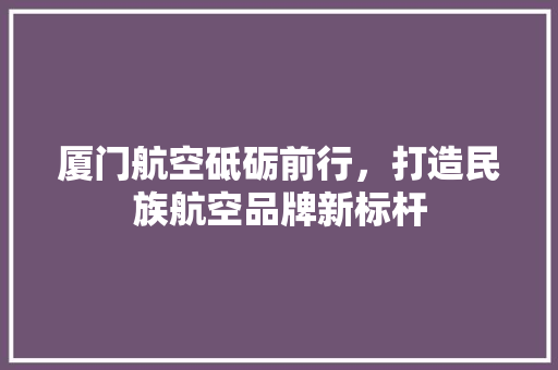 厦门航空砥砺前行，打造民族航空品牌新标杆