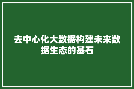 去中心化大数据构建未来数据生态的基石