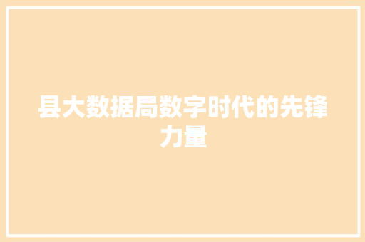 县大数据局数字时代的先锋力量 WordPress教程