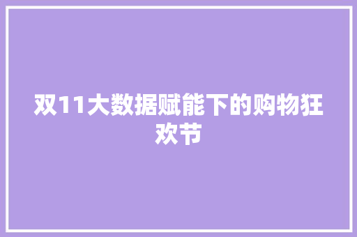 双11大数据赋能下的购物狂欢节 WordPress教程