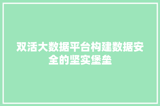 双活大数据平台构建数据安全的坚实堡垒 SEO教程