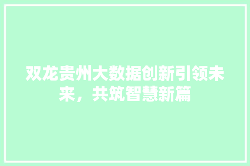 双龙贵州大数据创新引领未来，共筑智慧新篇 Web前端