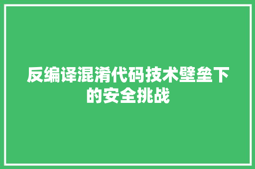 反编译混淆代码技术壁垒下的安全挑战 建站教程