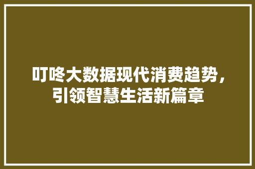 叮咚大数据现代消费趋势，引领智慧生活新篇章 SEO教程