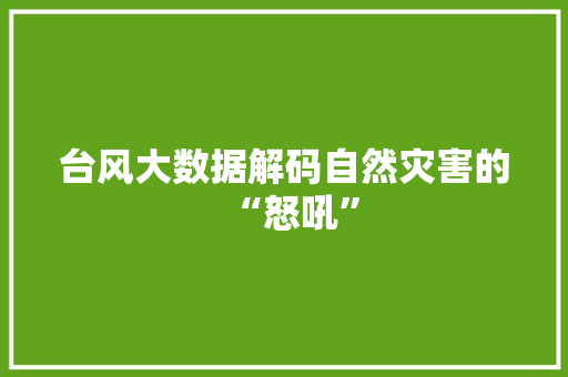 台风大数据解码自然灾害的“怒吼”