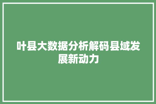 叶县大数据分析解码县域发展新动力