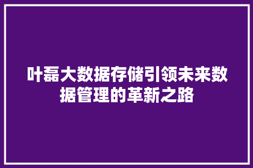 叶磊大数据存储引领未来数据管理的革新之路 SEO教程