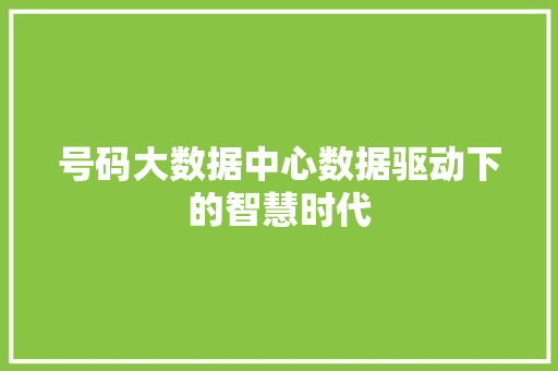 号码大数据中心数据驱动下的智慧时代