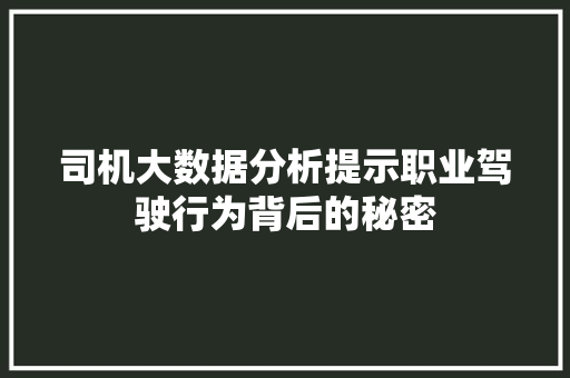 司机大数据分析提示职业驾驶行为背后的秘密 友链在线