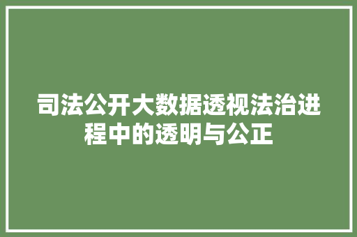 司法公开大数据透视法治进程中的透明与公正