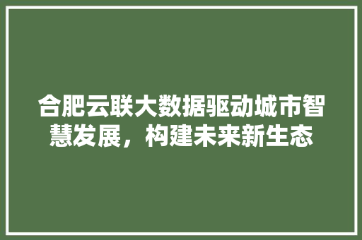 合肥云联大数据驱动城市智慧发展，构建未来新生态 服务器/数据库