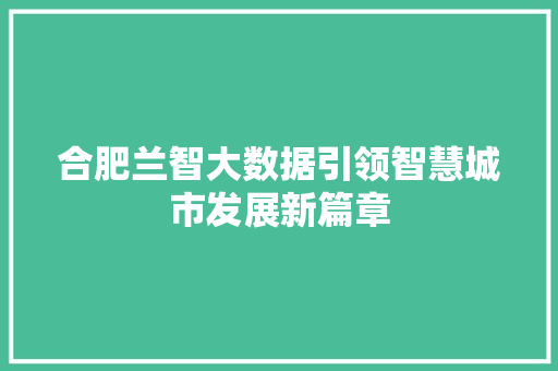 合肥兰智大数据引领智慧城市发展新篇章