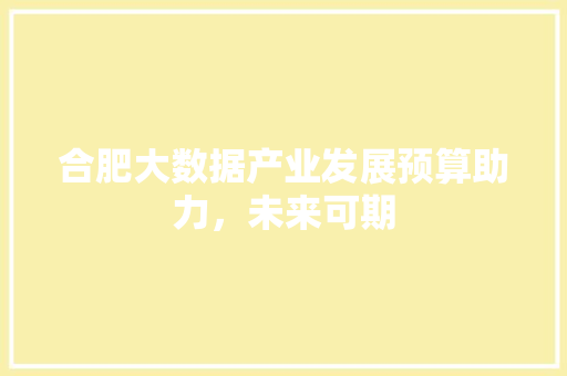 合肥大数据产业发展预算助力，未来可期
