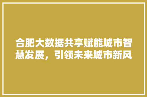 合肥大数据共享赋能城市智慧发展，引领未来城市新风尚