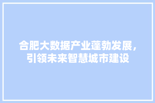 合肥大数据产业蓬勃发展，引领未来智慧城市建设